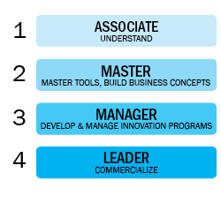 Four Innovation Certification Levels