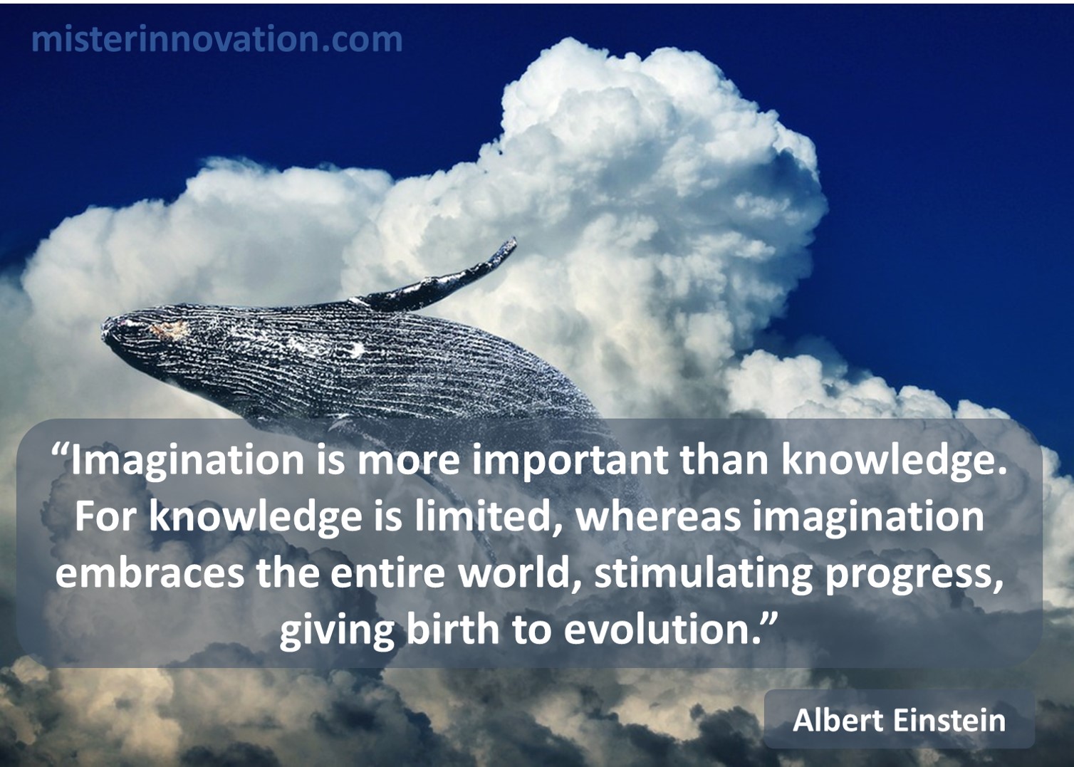 Albert Einstein Imagination