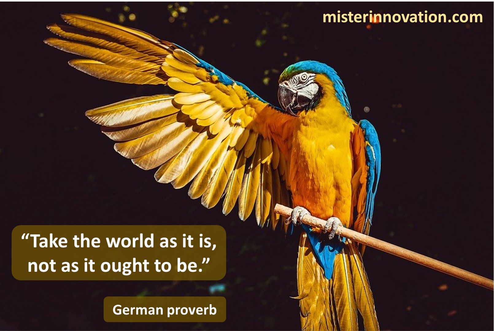 German Proverb