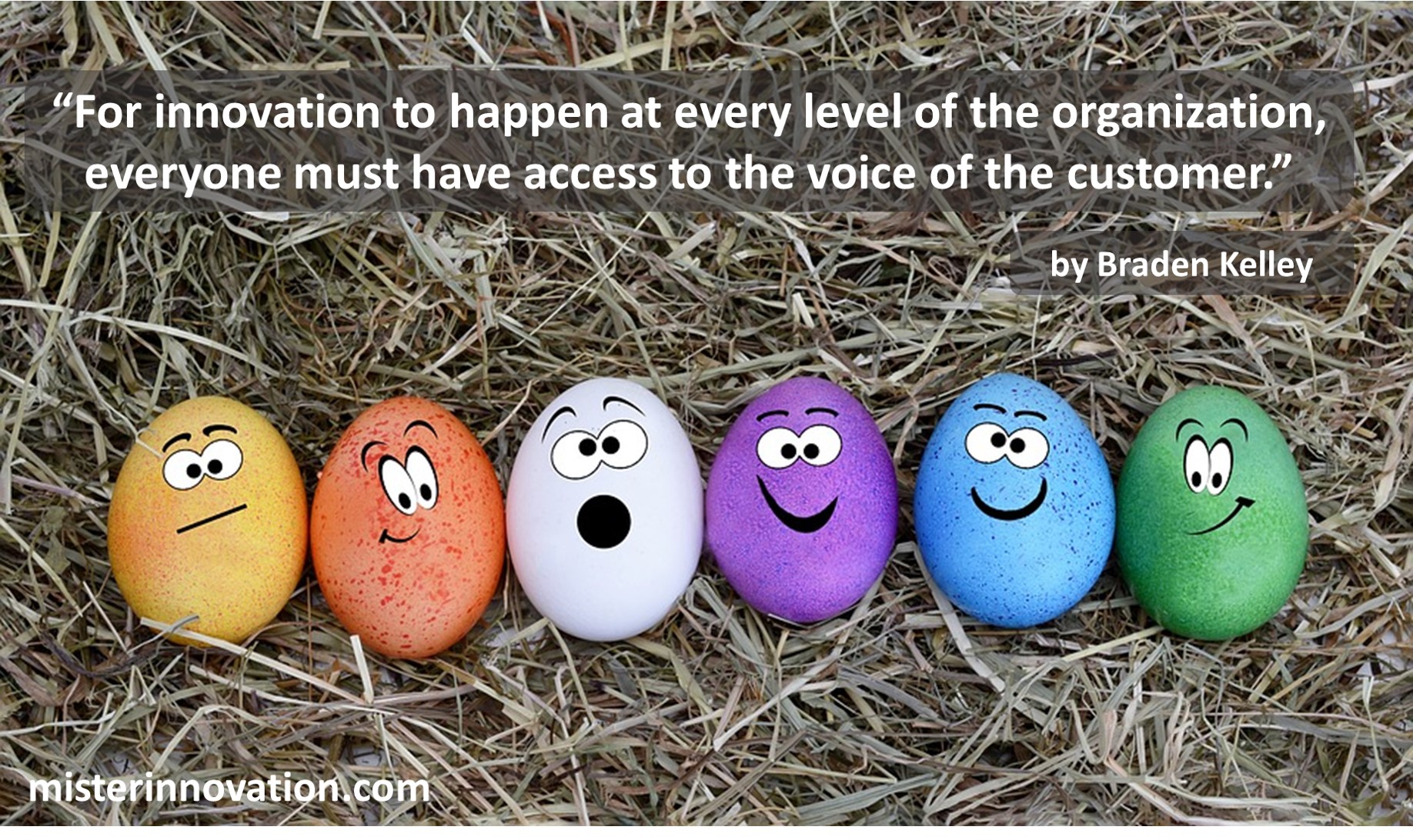 Voice of the Customer Innovation
