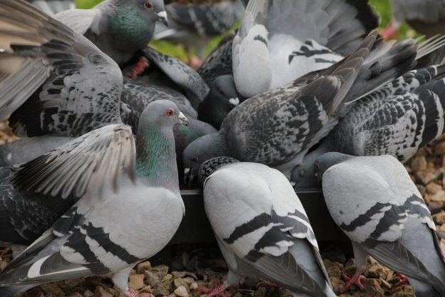 PDF5FE05E Thesis - DiVA