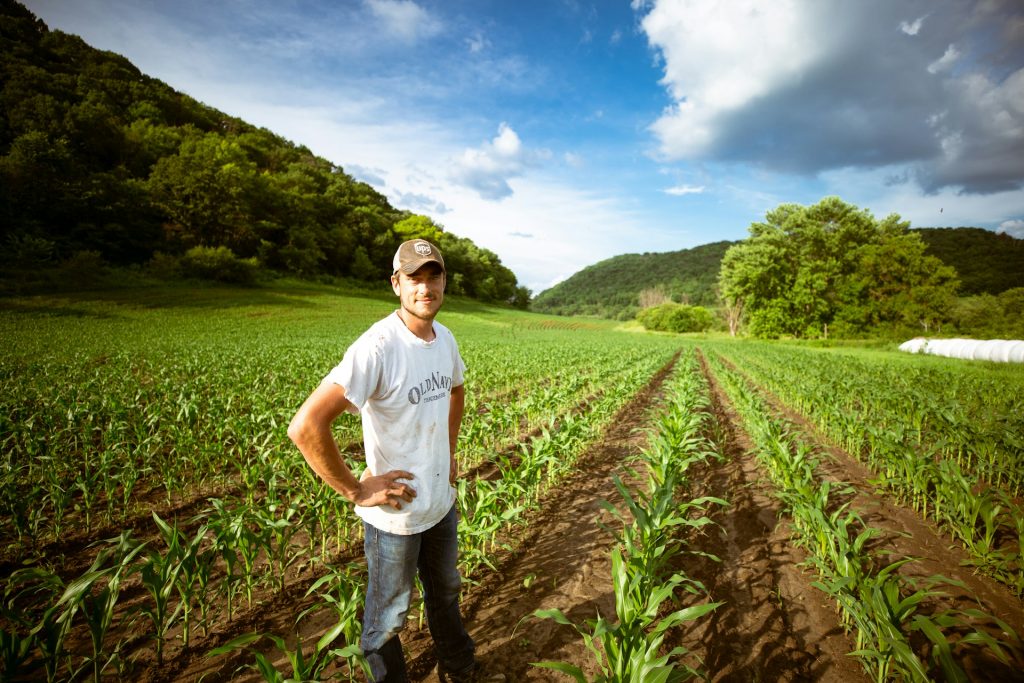 Embracing Regenerative Agriculture: Benefits and Strategies for Businesses