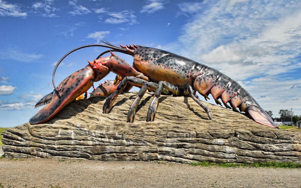 Lobsters and the Wisdom of Ignoring Your Customers