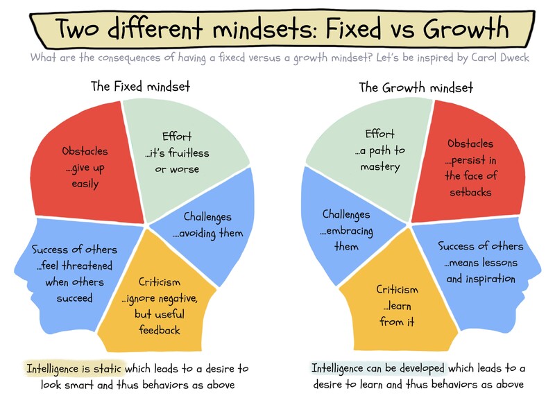 Do you have a fixed or growth mindset?