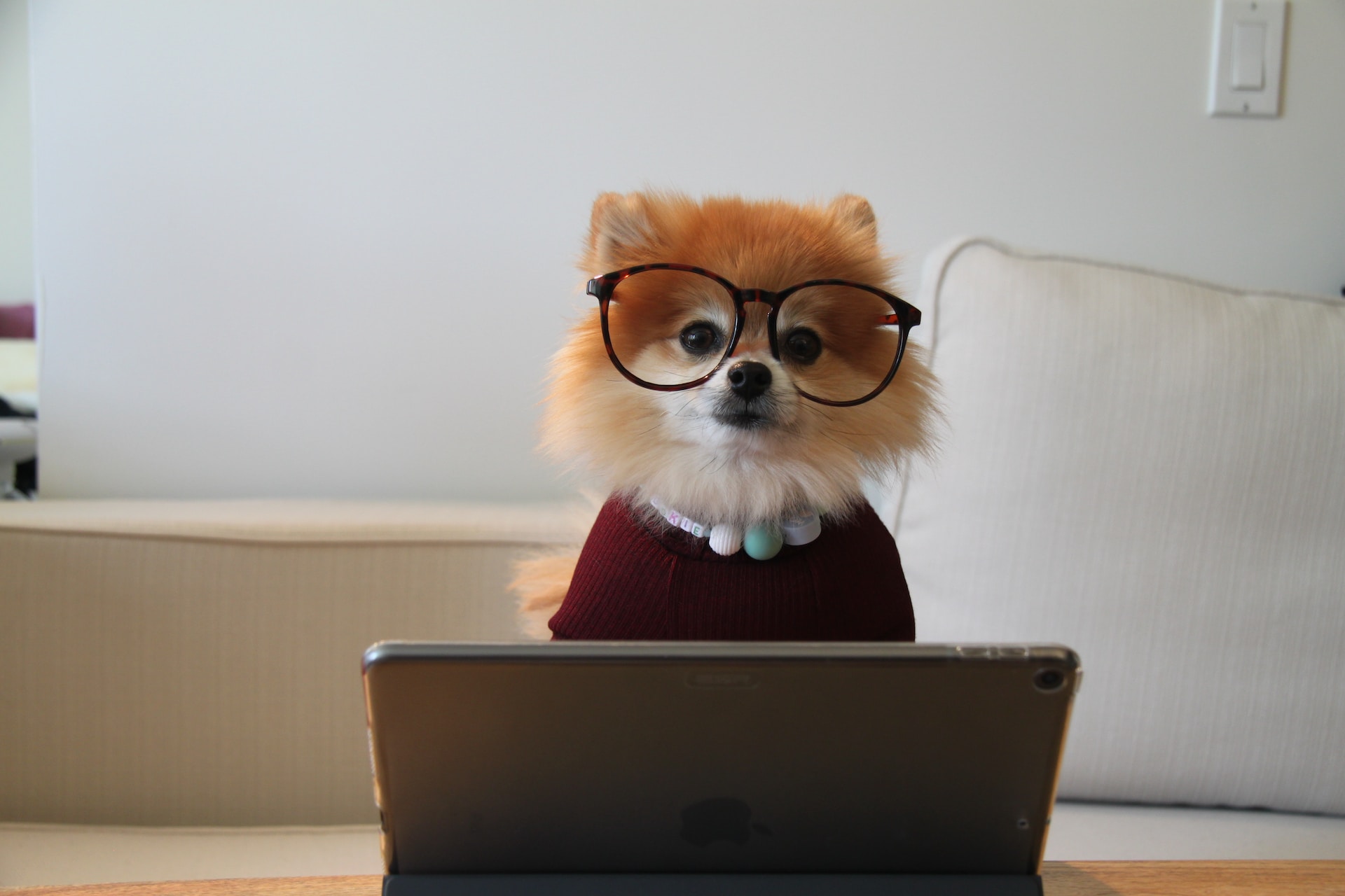 Most Customer Experience Strategies Fail