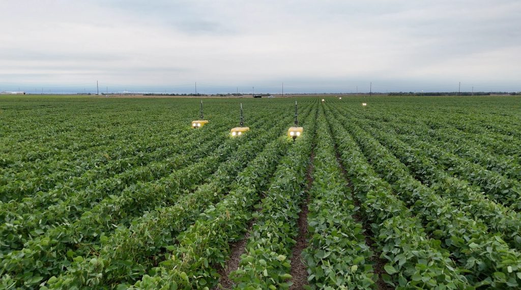 Innovation or Not - Chemical-Free Farming with Autonomous Robots