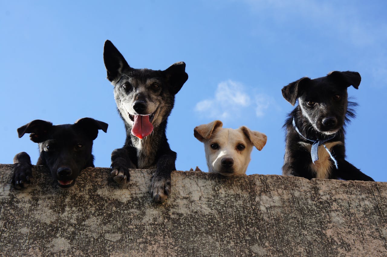 4 Simple Rules That Make You Exponentially More Effective and Productive