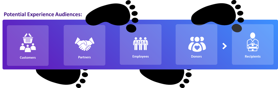 Potential Experience Audit Audiences: Customers, Partners, Employees, Donors, Recipients