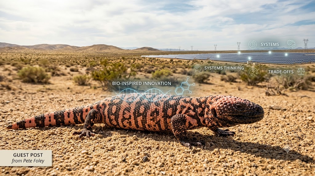 Gila monster in the Southwest desert - a source of bio-inspired innovation and GLP-1 medical breakthroughs